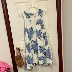 Joie White and Blue Floral Dress
